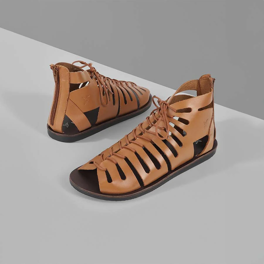 Gladiator - Image 11