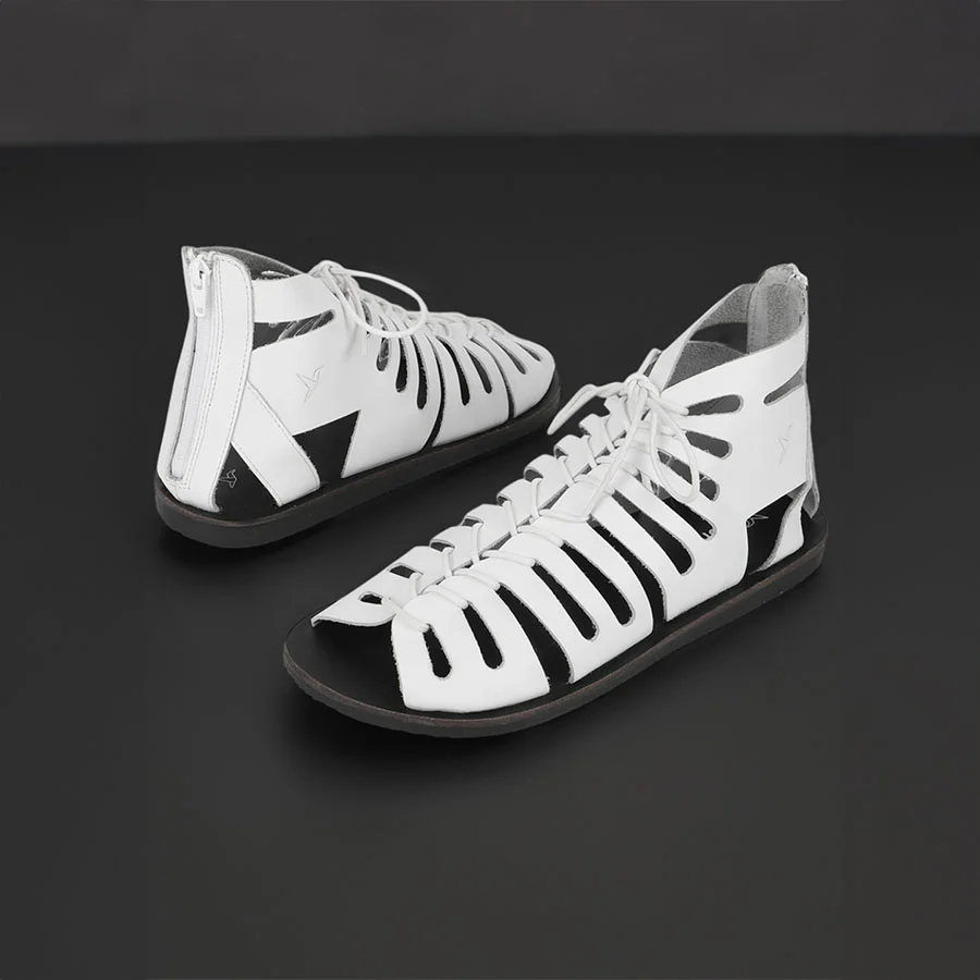 Gladiator - Image 16