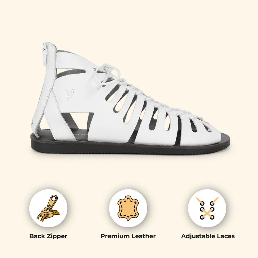 Gladiator - Image 17