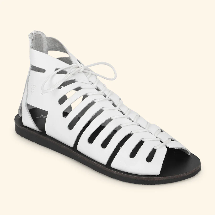 Gladiator - Image 19