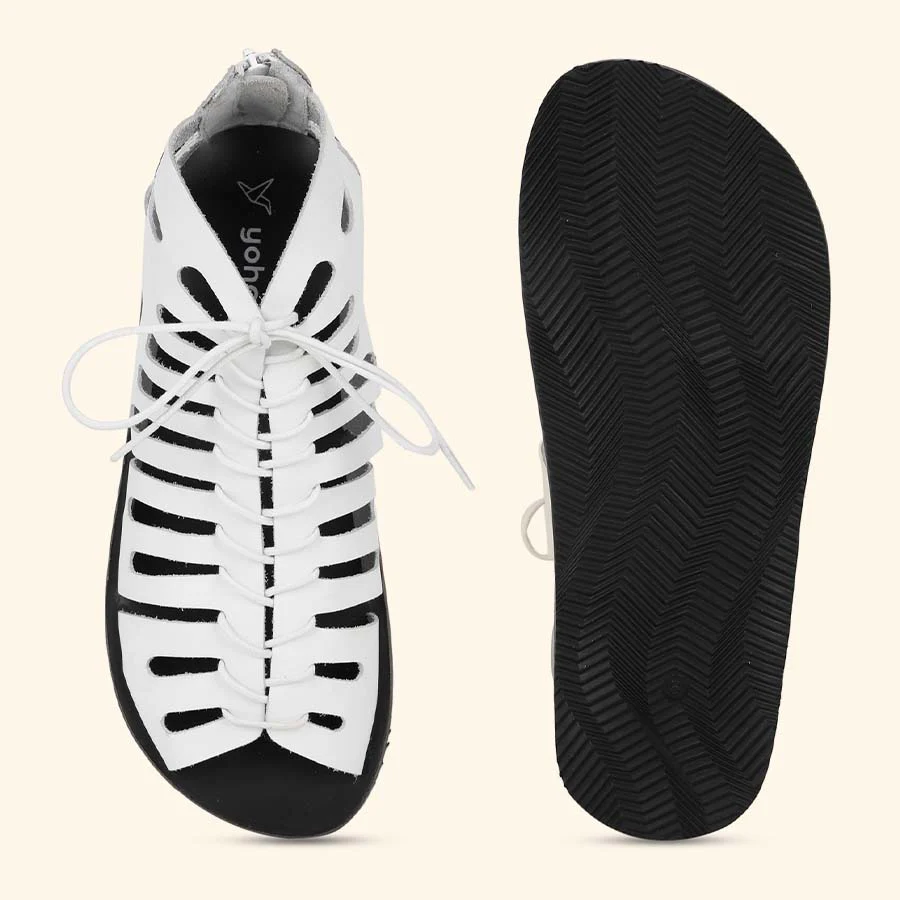 Gladiator - Image 20